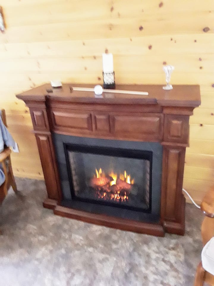 Prokonian Electric Fireplace Sp23 2007 Led Parts Reviewmotors.co