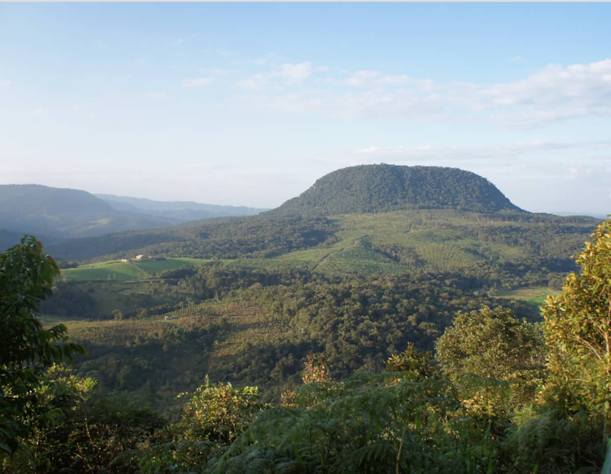 Quinta da Cachoeira