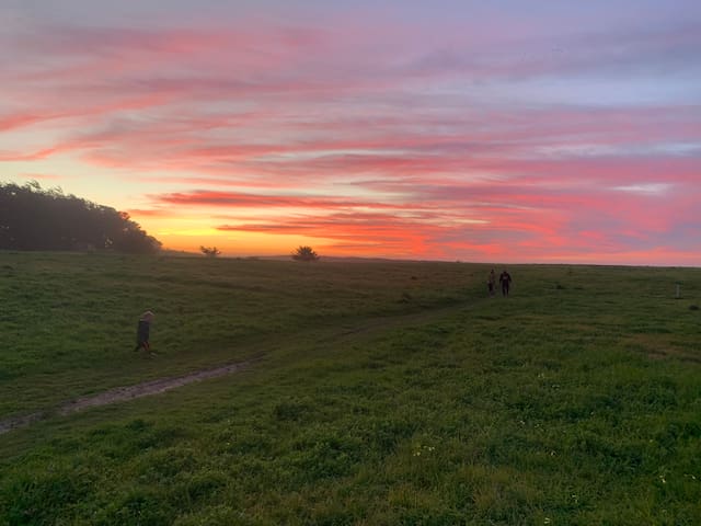 Poplar Beach Home and Guesthouse with Hot Tub