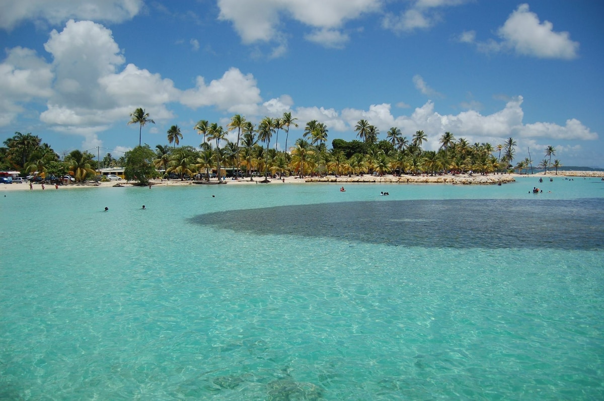 A serene beach scene is depicted with clear turquoise waters gently lapping the shore. Lush palm trees line the sandy beach, while a few individuals can be seen enjoying the water. Fluffy clouds drift across a bright blue sky, enhancing the tranquil atmosphere.