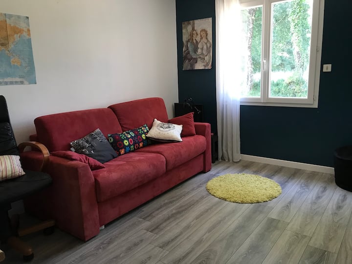 Habitación 1