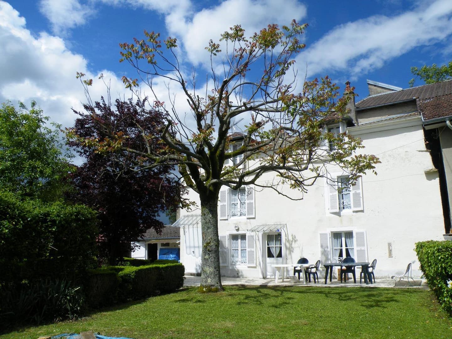 Townhouse m. trädgård — trädgård