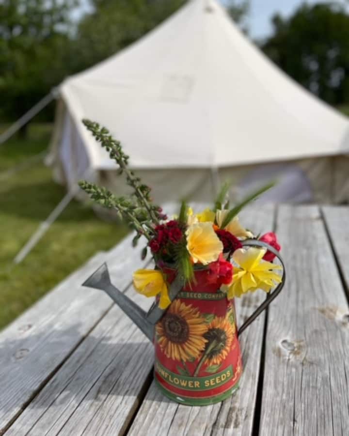 Junction City Vacation Rentals & Homes Oregon, United States Airbnb