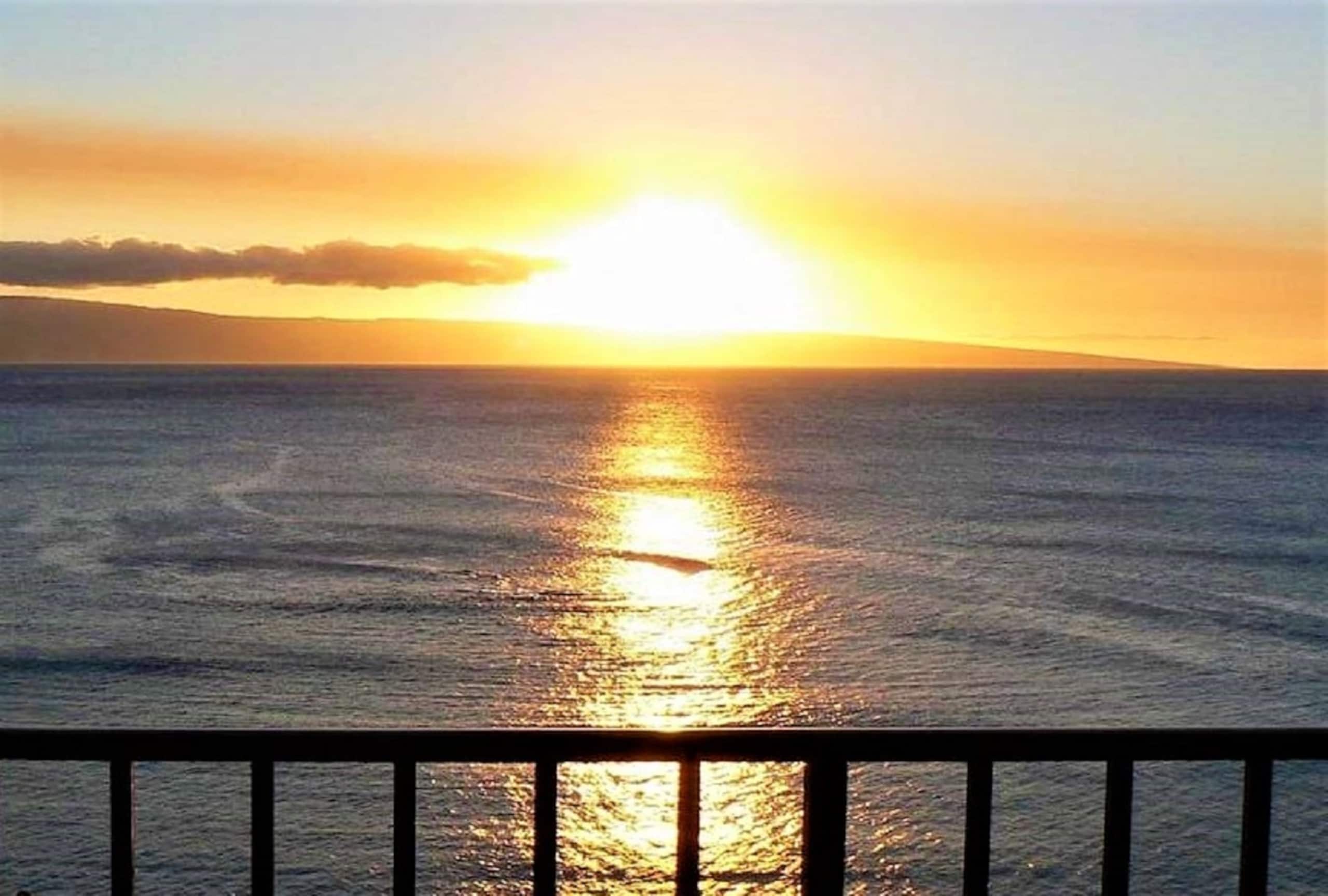 Condo in Lahaina · ★4.85 · 1 bedroom · 1 bed · 1 bath - Image 50