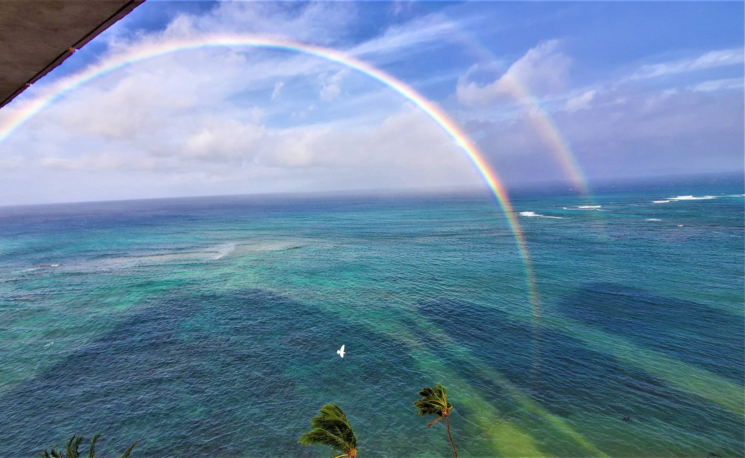 Condo in Lahaina · ★4.85 · 1 bedroom · 1 bed · 1 bath - Image 25