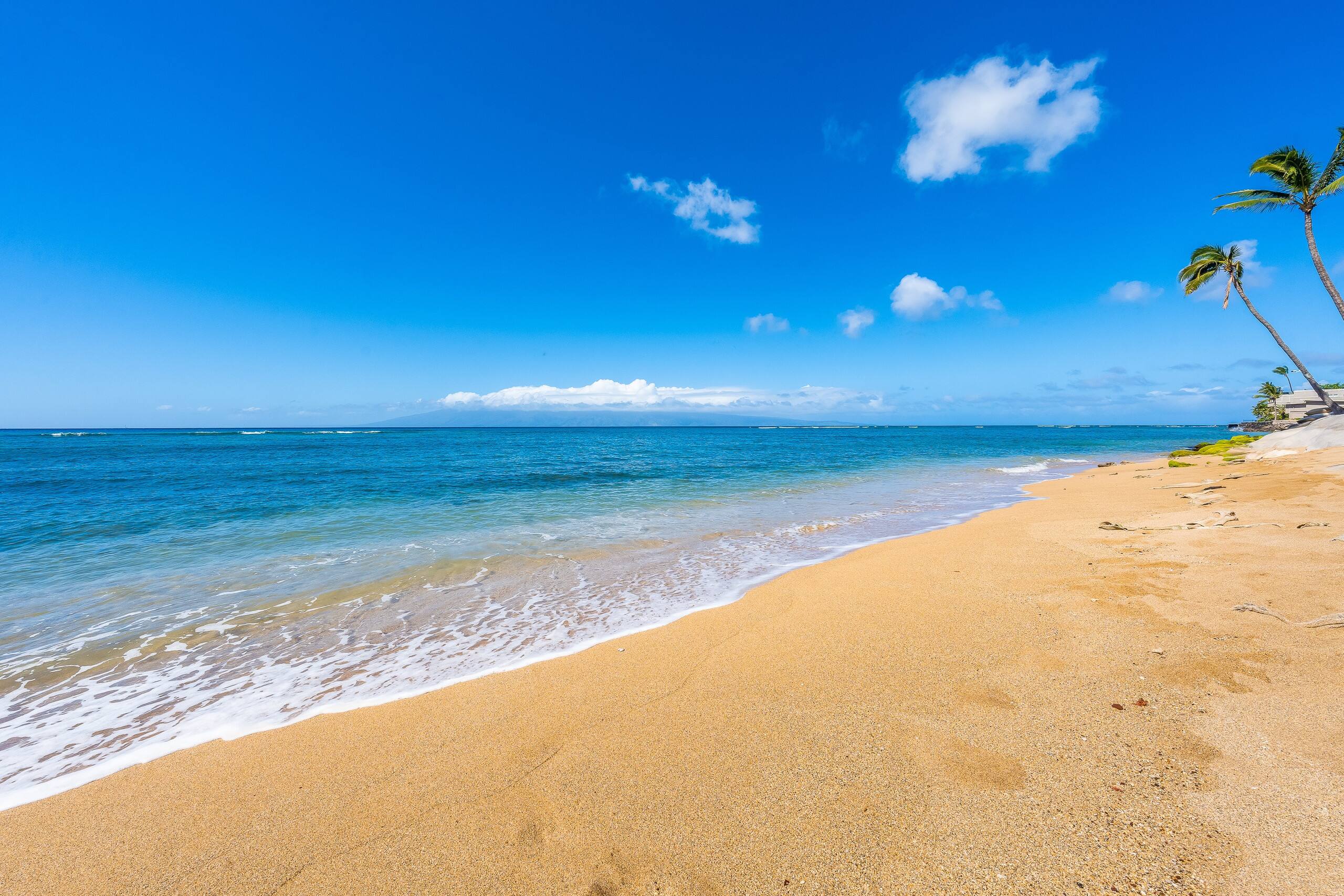 Condo in Lahaina · ★4.85 · 1 bedroom · 1 bed · 1 bath - Image 30