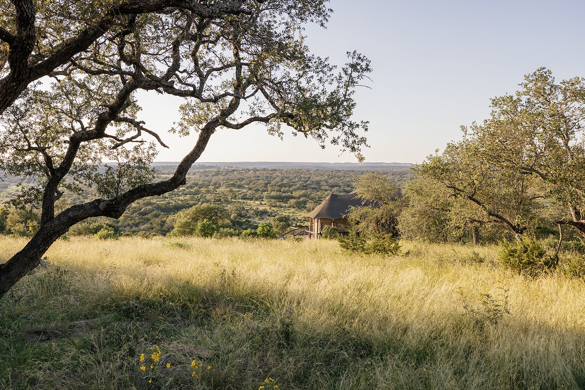 Luxurious Safari Tents