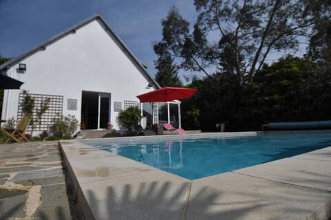 Beautiful tree-lined villa with swimming pool near the sea