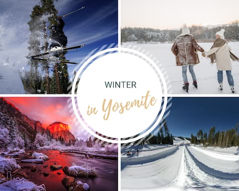 BOM sleeps 22 | GameRM | Badger Pass | FirePit |