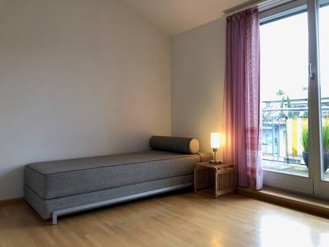Beautiful room above the rooftops of Basel