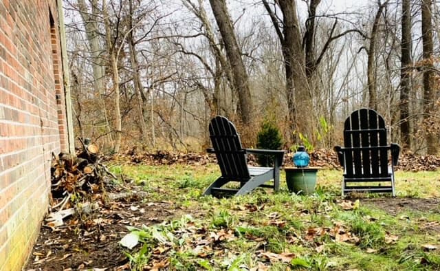 Two black Adirondack chairs are positioned near a small green table, surrounded by a tranquil outdoor setting. The area is bordered by tall trees, with fallen leaves scattered across the ground, creating a serene and natural atmosphere.
