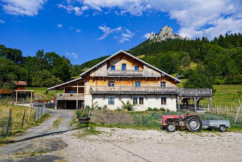 Top Airbnb: La Ferme de l'Âne Rouge, 4-Bedroom Chalet for 15 in Bernex
