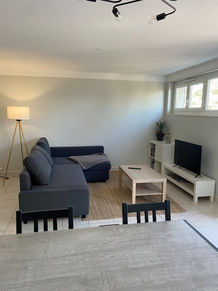 Pros/vacanciers*t4 Rdc Maison*jardin*terrasse - Lannemezan