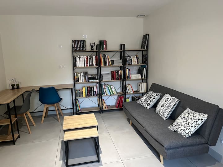 带书桌和沙发床的阅读和休闲区 