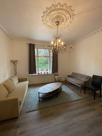 City center Oslo-Lsg-4bedrooms 2WC-110 mt Apt gallery image 2