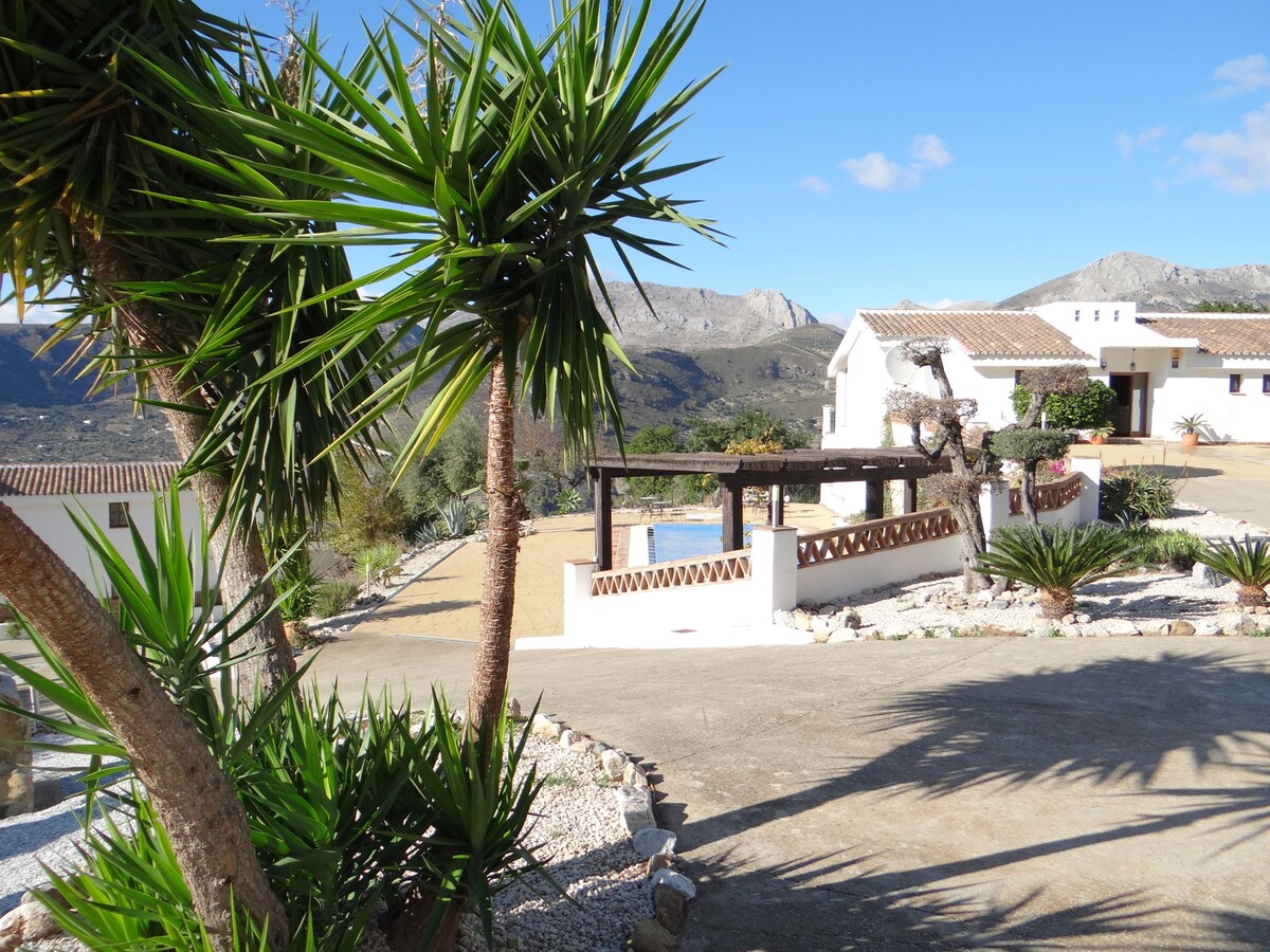 A scenic view reveals a winding driveway bordered by lush greenery and palm-like plants. In the distance, a charming white building and a shaded seating area complement the mountainous backdrop under a clear blue sky.