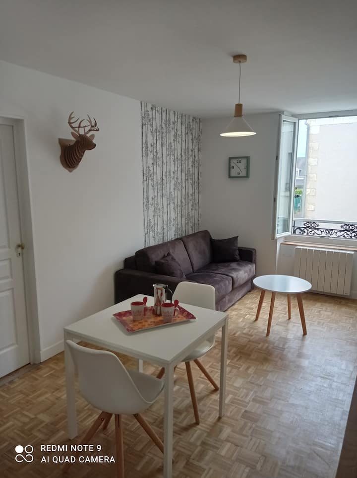 Beautiful new T2 in Blois Between Loire and Sologne 1 Apartments