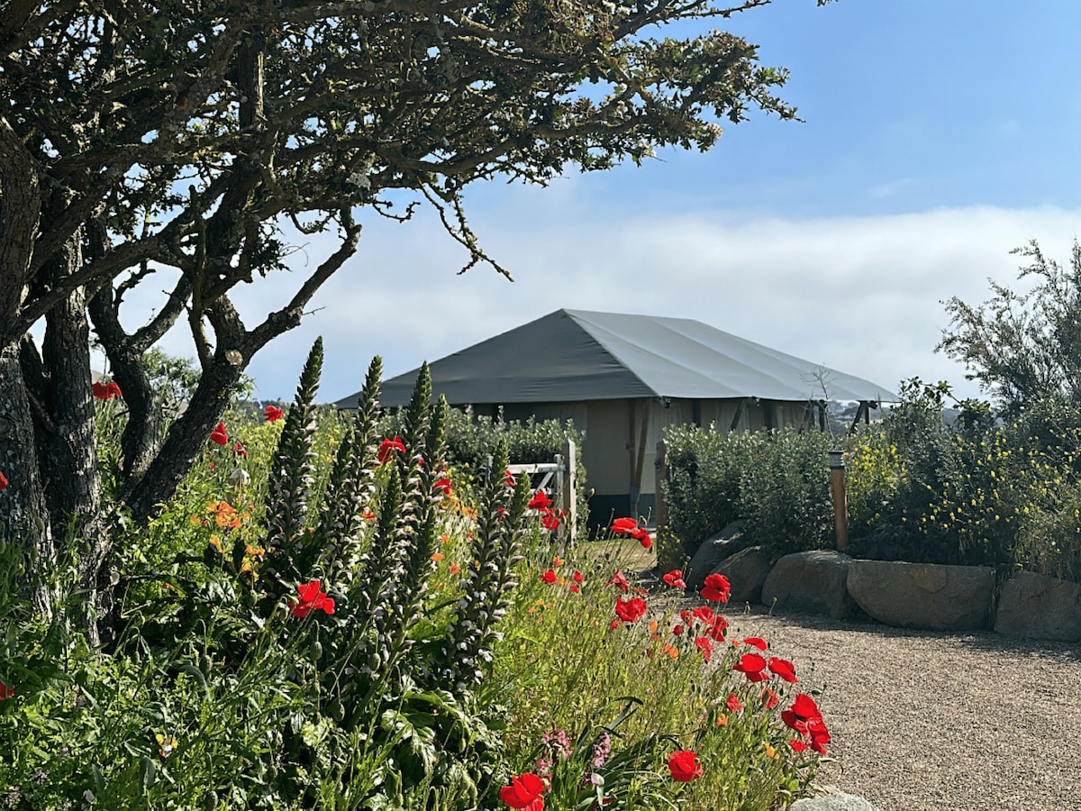 A safari tent is framed by vibrant red flowers and lush greenery, showing a serene outdoor space. The tent’s canvas roof is visible, complemented by clear blue skies in the background, creating a calm environment.