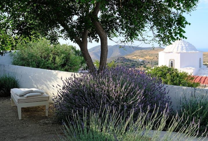 House with garden in the heart of Chora