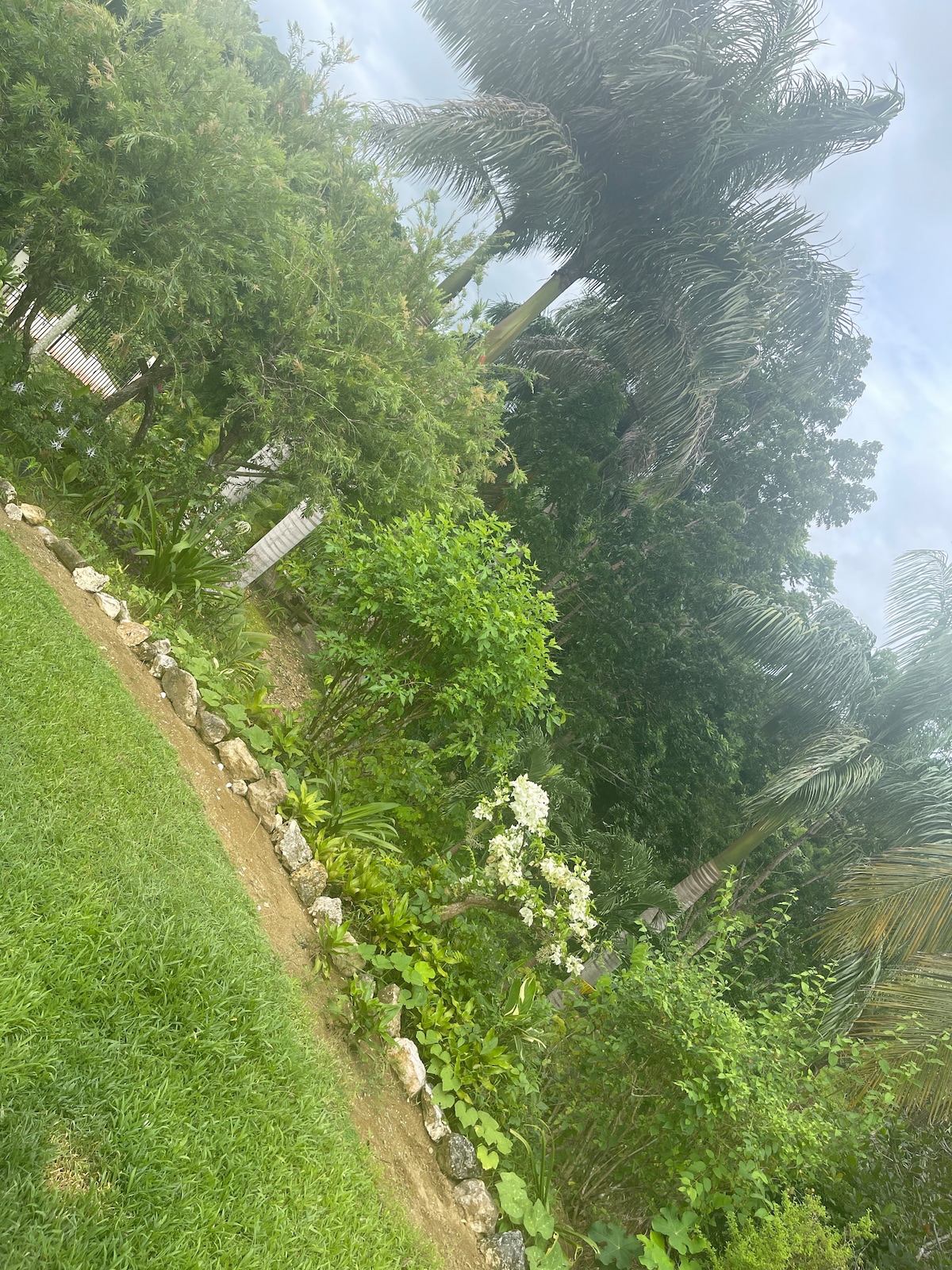 Lush greenery surrounds the property, featuring a variety of plants and flowers interspersed along a natural stone border. Tall palm trees provide shade, while a well-manicured lawn offers a serene outdoor space. The overall atmosphere reflects a tranquil, garden-like setting.