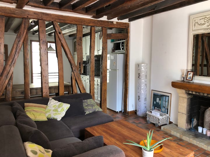Beautiful apartment in authentic SaintGermain Apartments for Rent in