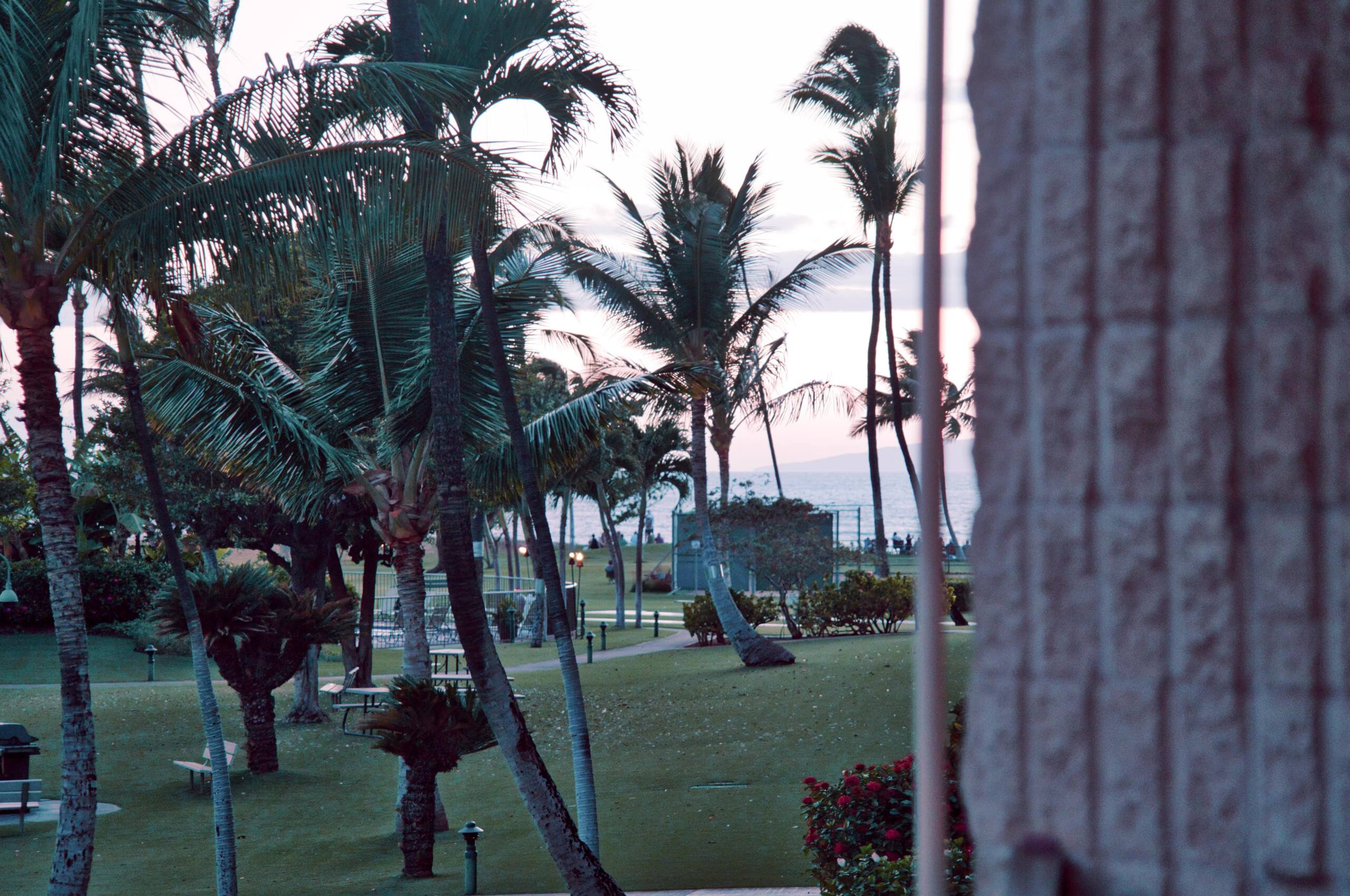 Condo in Kihei · ★4.89 · 3 bedrooms · 6 beds · 2 baths - Image 27