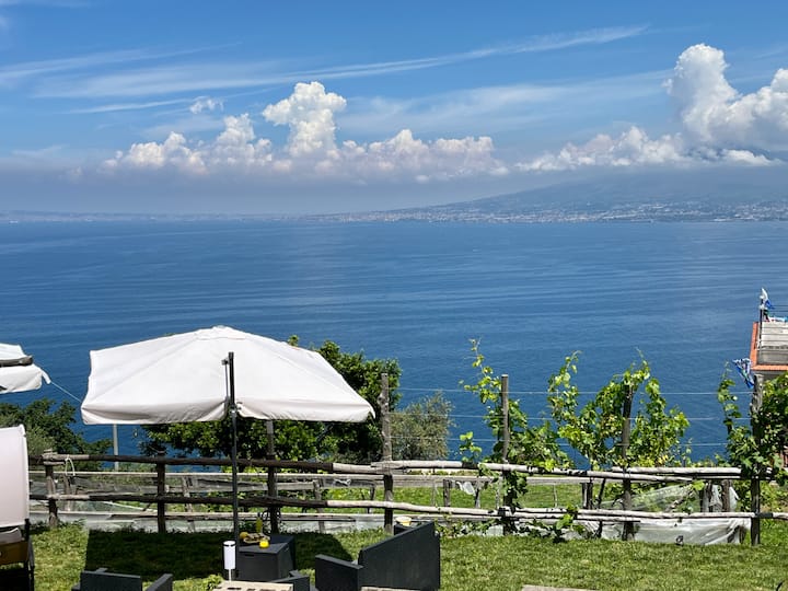 La Badia Vigneto  Nature Et Vue Sur Le Vésuve - Vico Equense