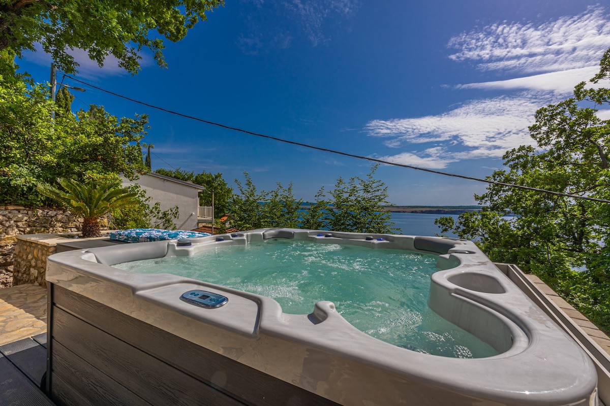 Villa Cikas Palmhouse