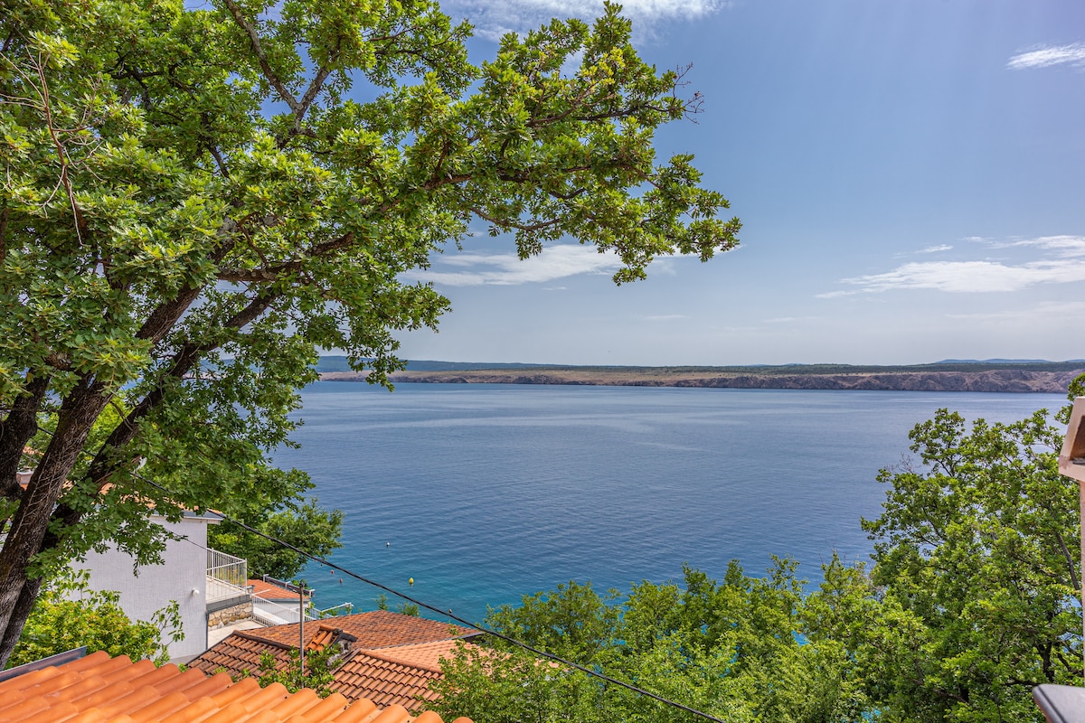 Villa Cikas Palmhouse