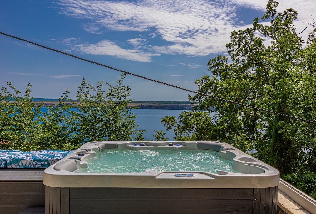 Villa Cikas Palmhouse