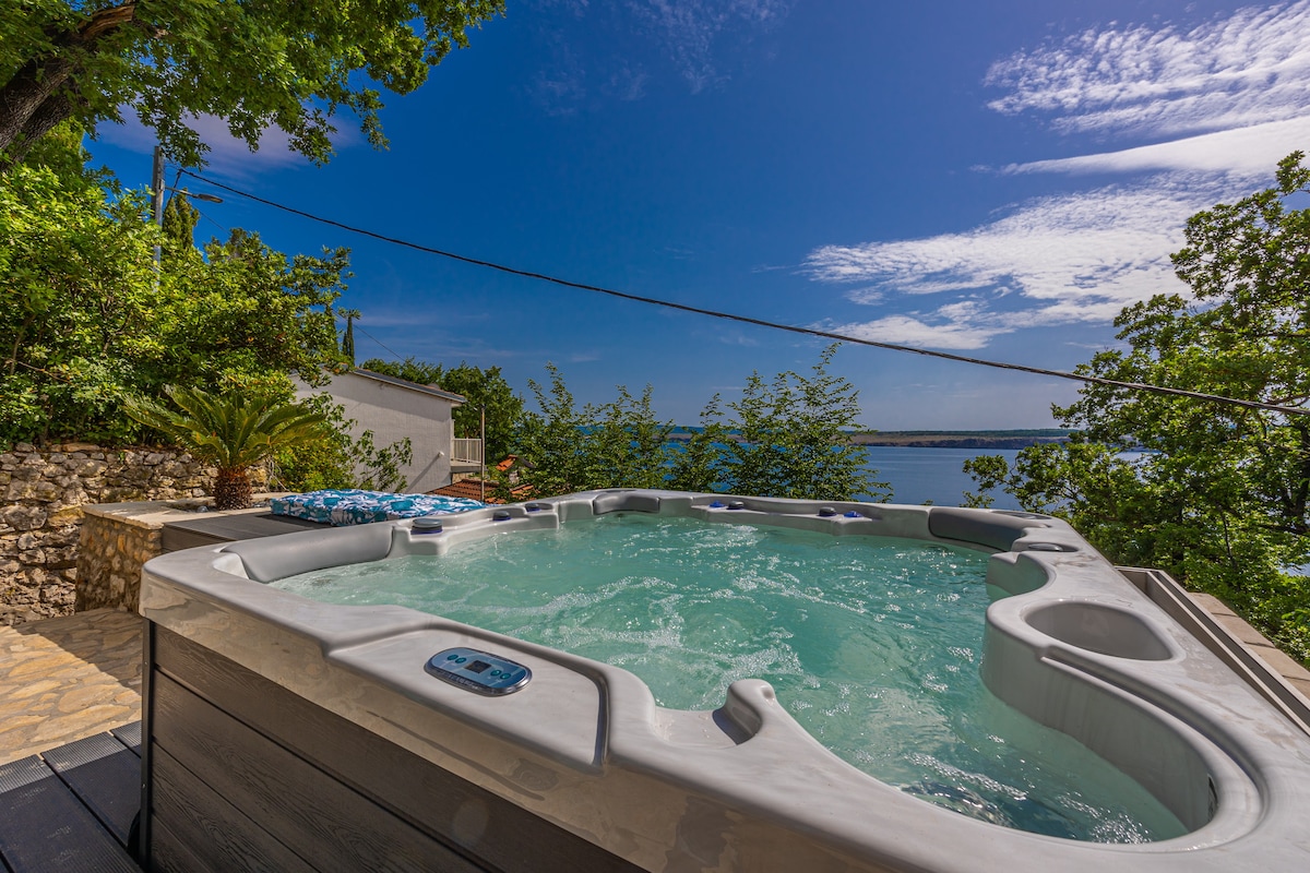 Villa Cikas Palmhouse