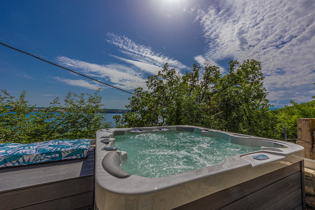 Villa Cikas Palmhouse