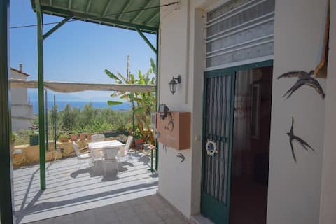 Dimi-tra-ditional house