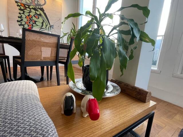 Ipanema: vista incrível da lagoa gallery image 5