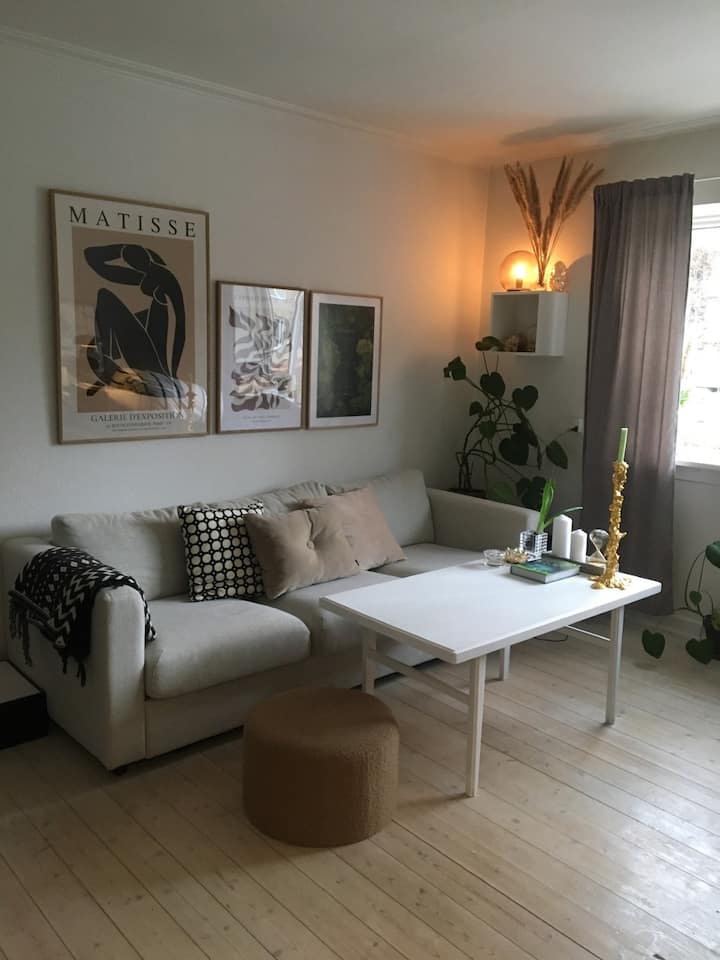 Skøn Lejlighed Med Gårdhave - Copenhague