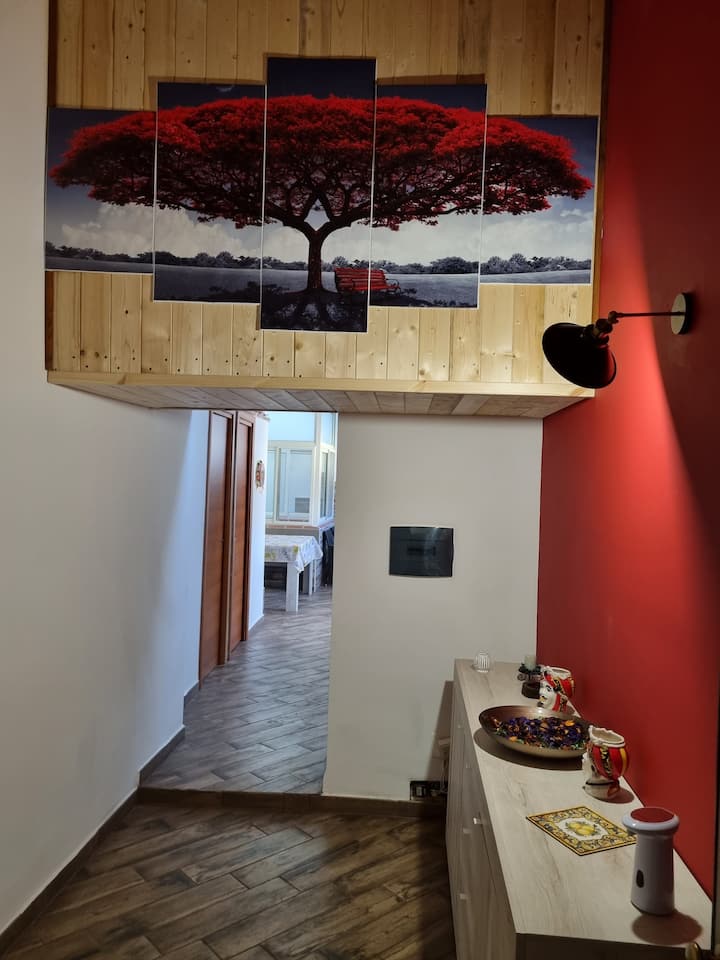 Trinacria - Catane