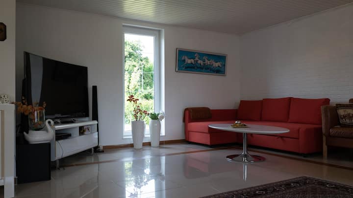 Amazing Villa With Garden - Kolding
