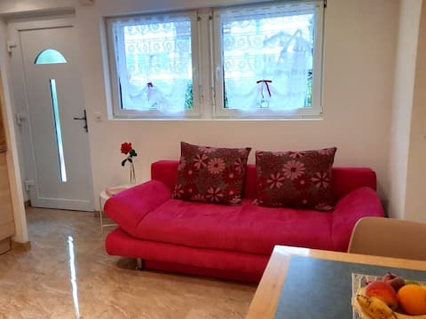 Popular Airbnb listing: Waterfront apartment 33 m2 Le Cerisier in Sion