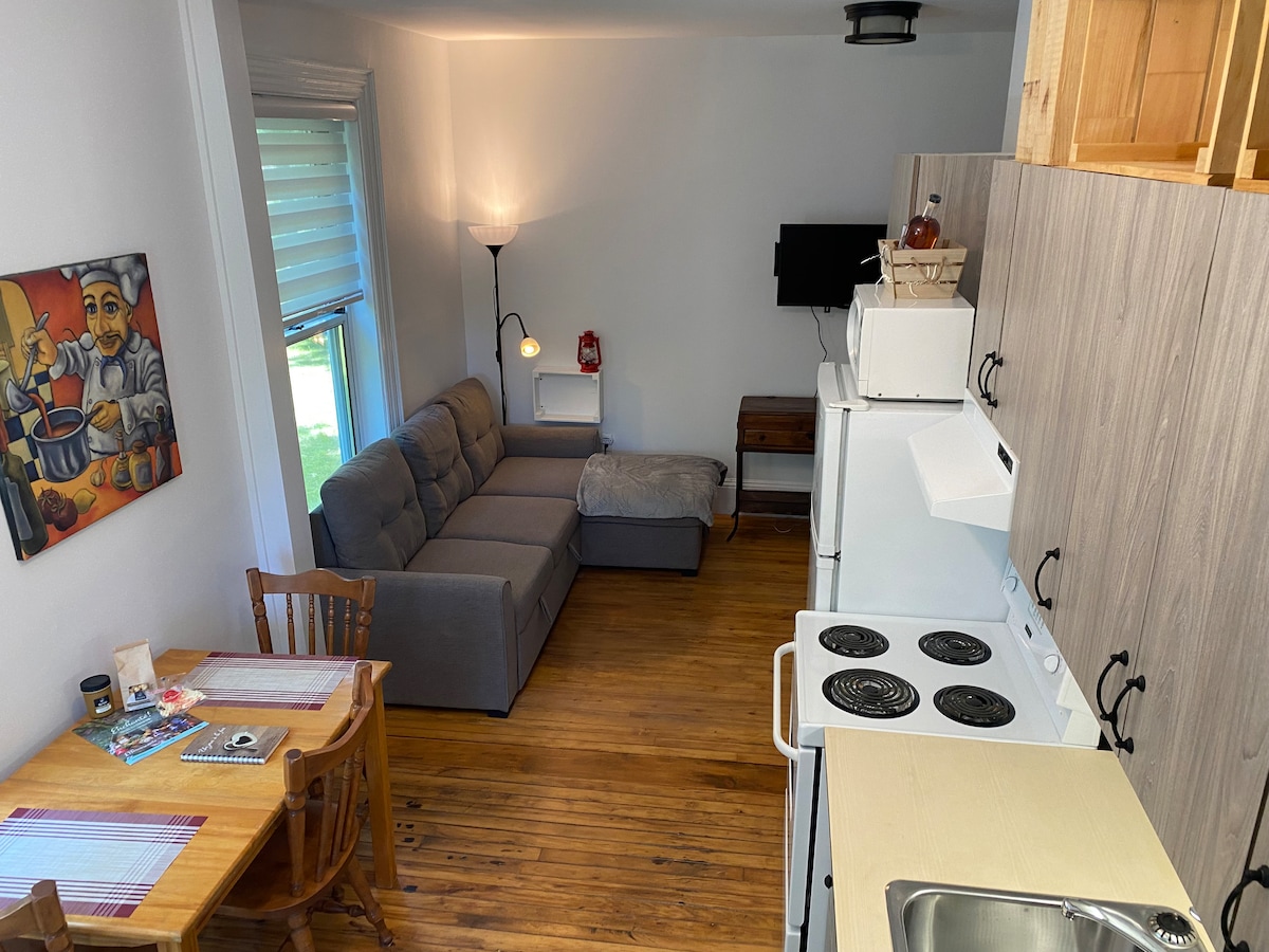 Coin Cuisine et vue sur le salon (divan lit)