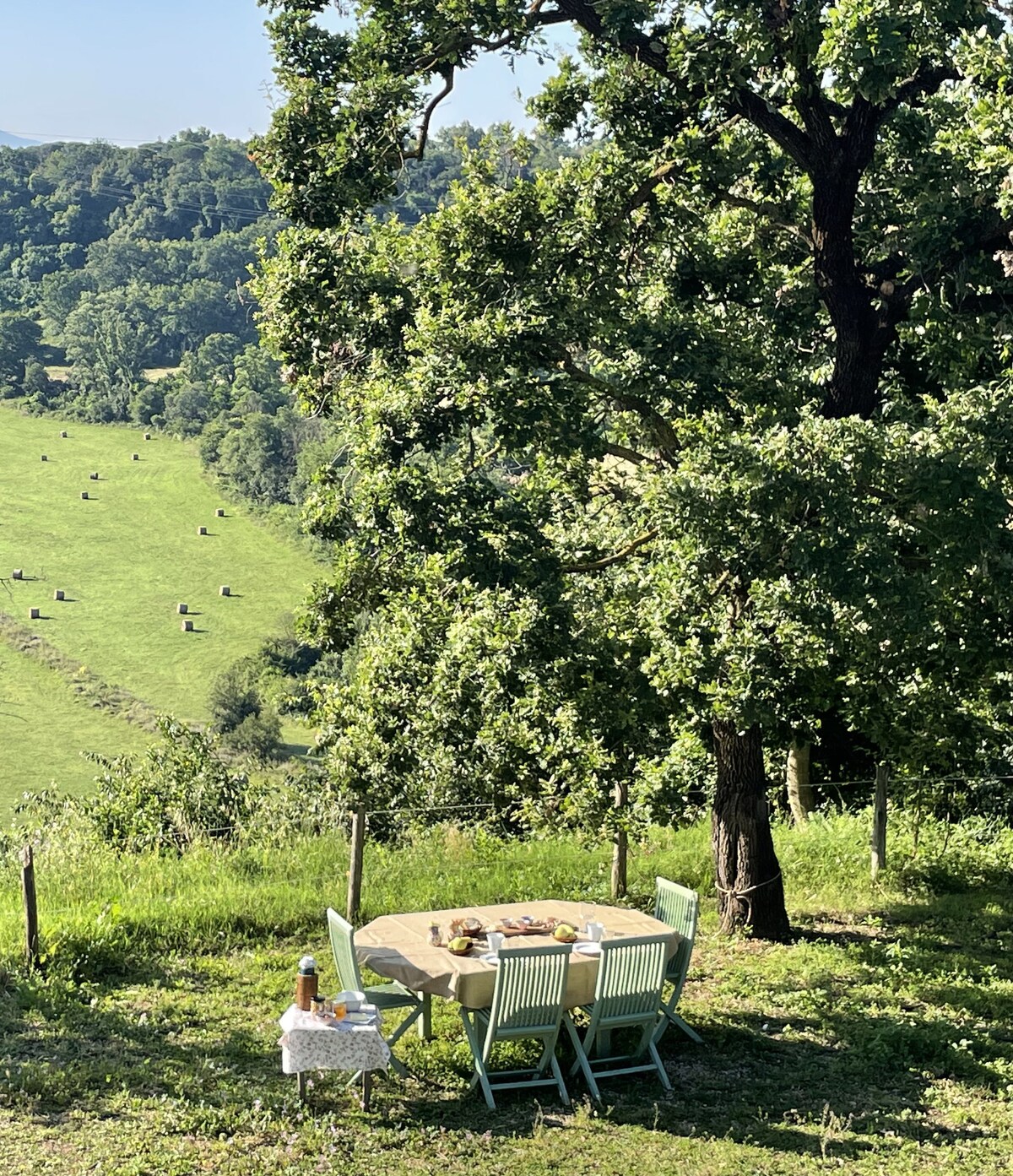 A dining table is set outdoors under a large tree, surrounded by a scenic landscape of rolling hills. The table is adorned with a tablecloth and features various food items. Green chairs provide seating for guests, creating a serene dining experience amidst nature.