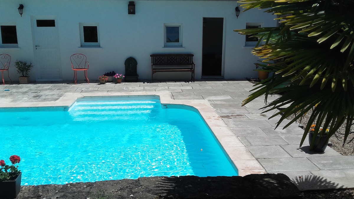 A clear blue swimming pool is framed by a stone patio, with several potted plants and flowers adding color. A few chairs are positioned nearby, and a bench is placed along the wall. The entrance to the building is visible through an open door.