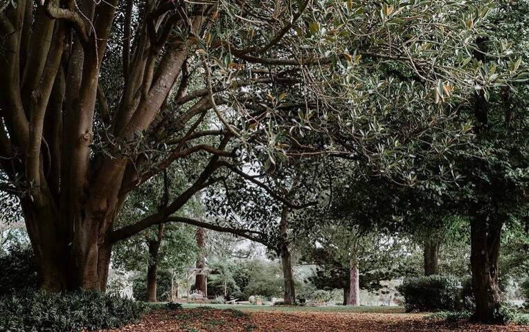 “Chateau Kolor” A 5 Bedroom Bluestone Homestead gallery image 5