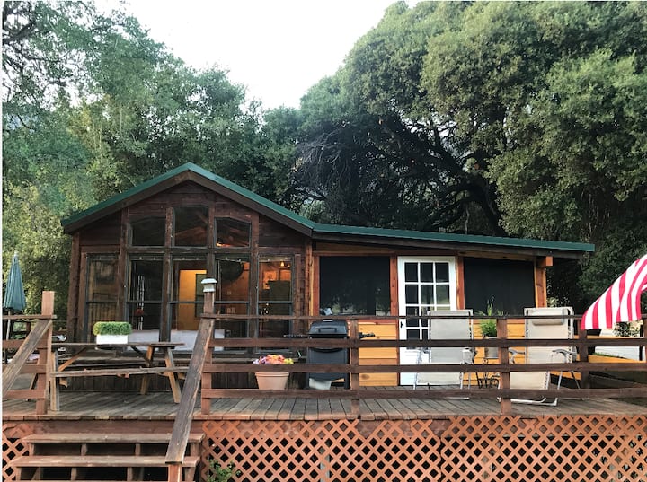 12 Best PetFriendly Cabins Near Sequoia National Park, California