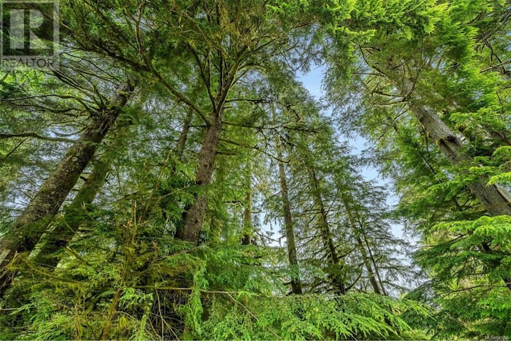 Forest Cove two bedroom 3 beds guest suite