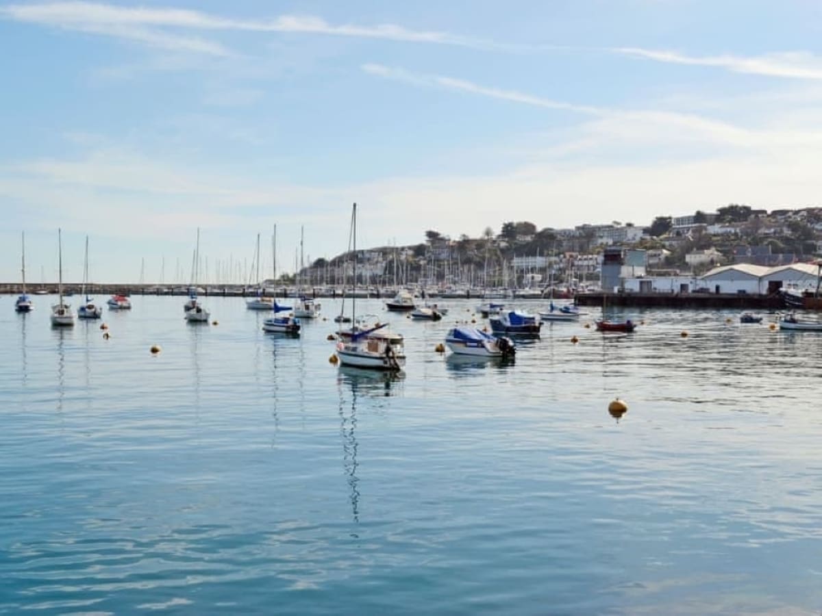 A serene marina scene is displayed, featuring a variety of boats gently bobbing on calm waters. The reflections of the boats create a tranquil atmosphere, with a distant view of the town along the shoreline under a clear blue sky.