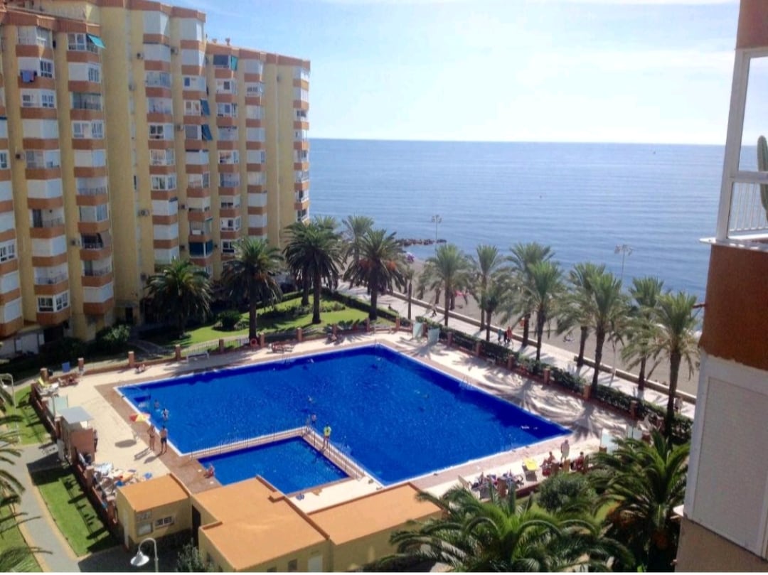 A view of a large swimming pool surrounded by palm trees overlooks the beach and ocean. The pool area features lounge chairs and is set within a well-maintained garden, with a distant view of the tranquil sea under a clear blue sky.