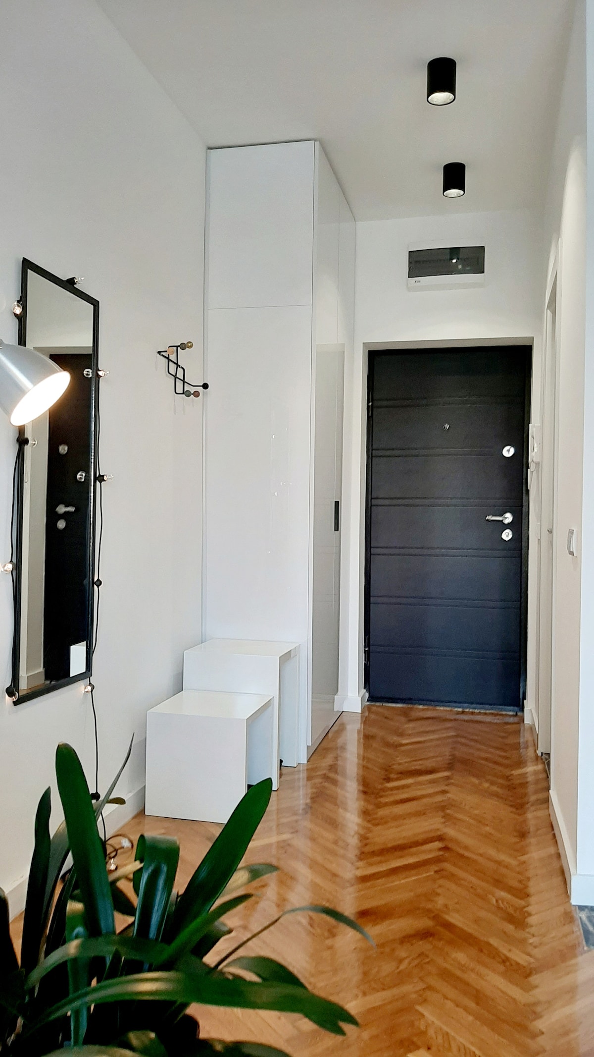 A narrow hallway features a dark entrance door, white walls, and a light wooden floor. A full-length mirror is mounted on one wall beside a tall coat rack. Illuminated by modern ceiling lights, a small plant adds a touch of greenery.