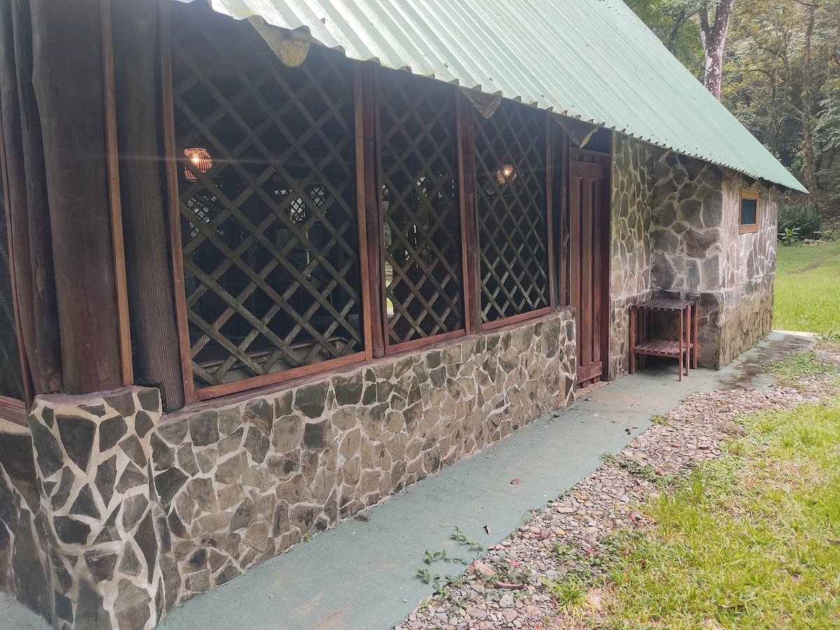 The exterior of the cabin features a mix of natural stone and wooden accents, complemented by a green corrugated roof. A small wooden table is positioned near the entrance, with a pathway lined with stones leading to a lush green area.