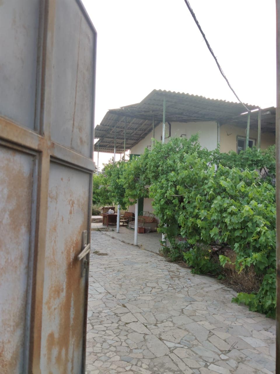 A view through a weathered metal gate reveals a stone pathway leading to a house surrounded by lush greenery. Vines grow abundantly along the building's exterior, providing a natural frame. The scene suggests a peaceful environment enhanced by the presence of outdoor seating in the background.