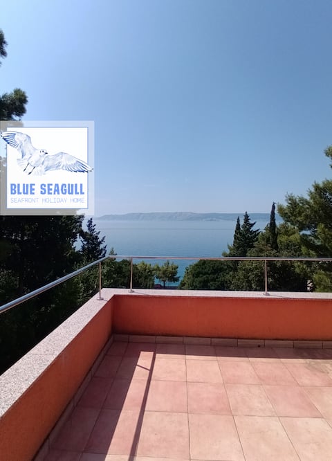 Blue Seagull - Seafront Holiday Home